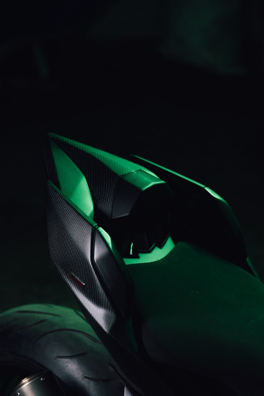 Kawasaki Ninja H2 Tail Panel Set