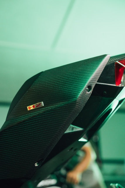 Kawasaki Ninja H2 Tail Panel Set