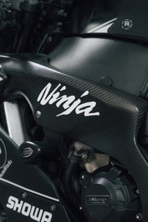 Kawasaki ZX-10R Race Fairing Kit